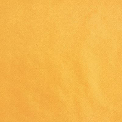 Jap Silk Marigold