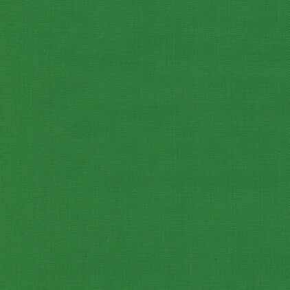 Polyline 2 Green