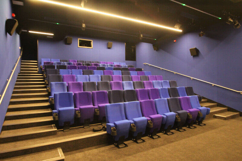 Towner Arts Gallery Cinema