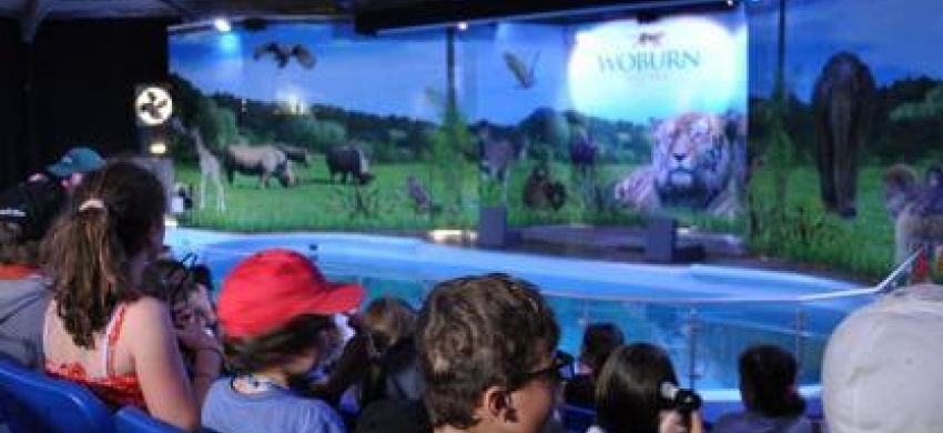 Large 3D screen moves in near sea lions in Woburn Safari Park