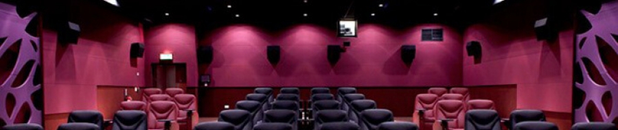 Camstage's cinema work a treasure in Mondrian