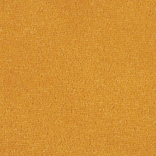 Cabaret Sparkle Velvet Velour Gold