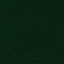 Display Felt Dark Green (24)