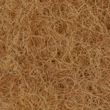 Exhibition Carpet Beige