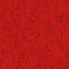 Exhibition Carpet Scarlet