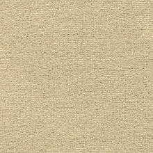 Mayfair Velour Beige