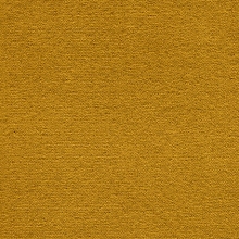 Mayfair Velour Regency Gold