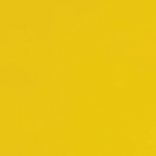 PVC Coated Fabric Yellow