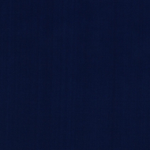 Polyline 2 Dark Blue