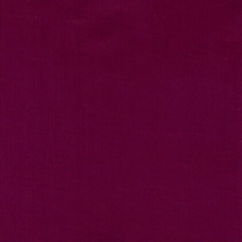 Polyline 2 Violet