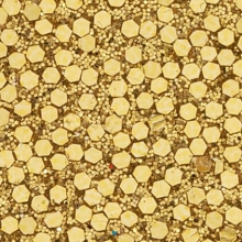 Sparkle Cloth Gold