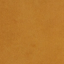 Velvet Velour Amber