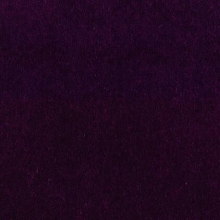 Velvet Velour Purple