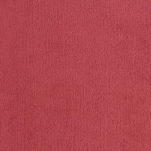 Velvet Velour Raspberry