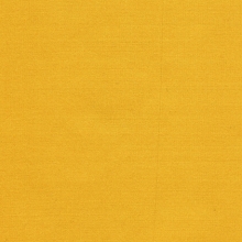 Jap Silk Marigold